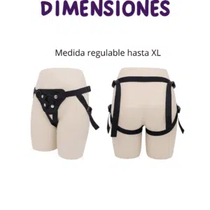Arnes Dimensiones