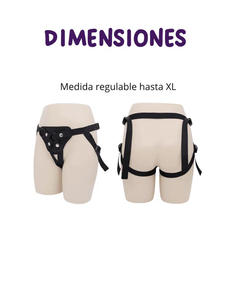 Arnes Dimensiones