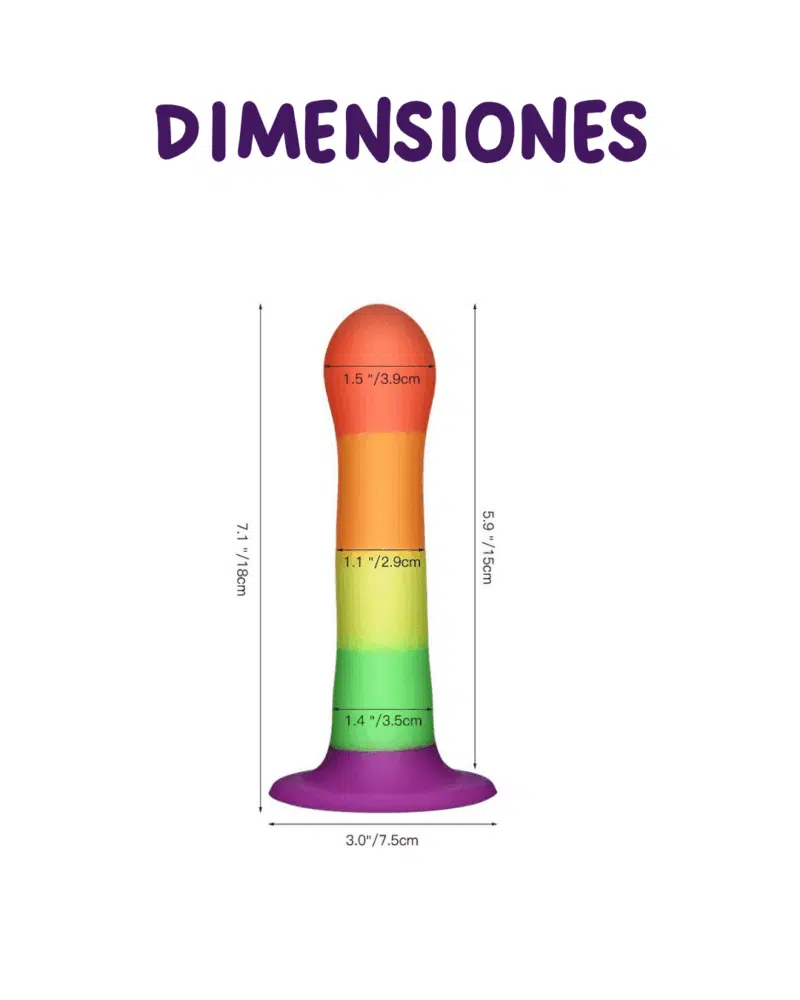 Dildo Rainbow Dimensiones