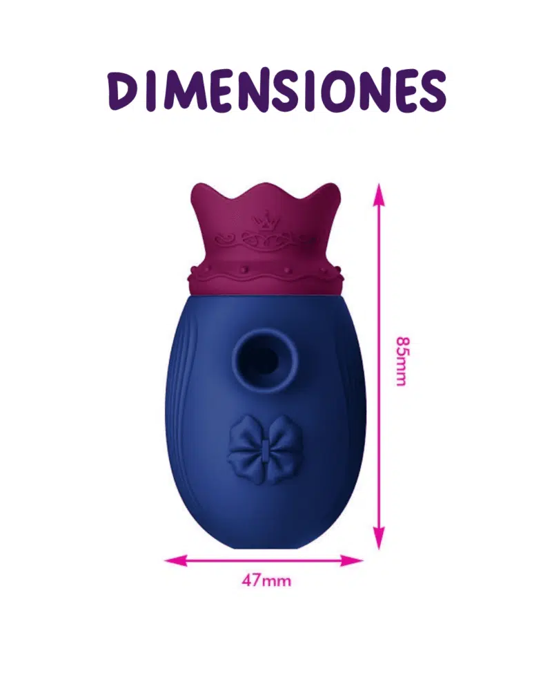 Succionador Corona Dimensiones